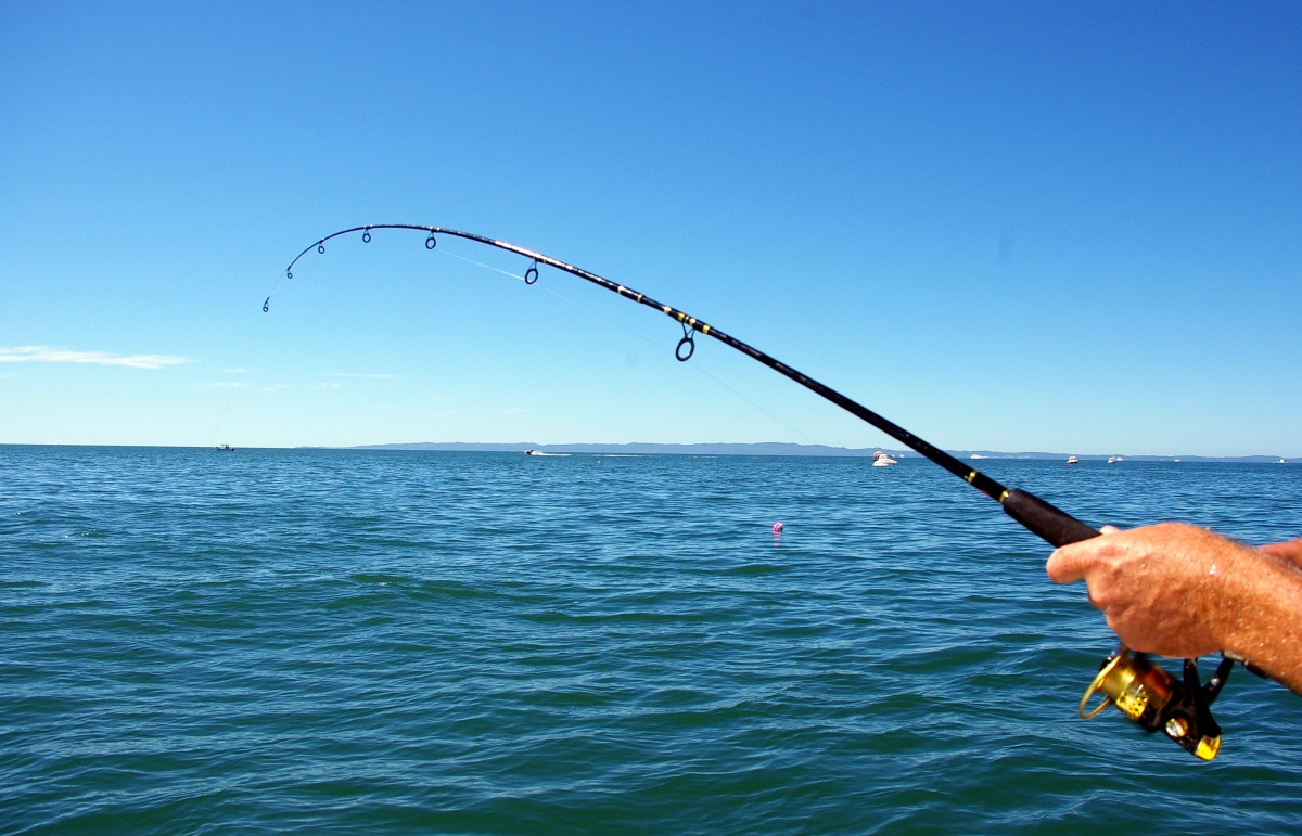 Fishing trip Nessebar