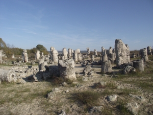 The Stone Forest