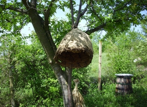 The Honey Museum