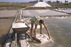 Pomorie- The Salt Museum and The Salt Works