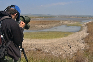 Burgas Lakes- Birds Watching